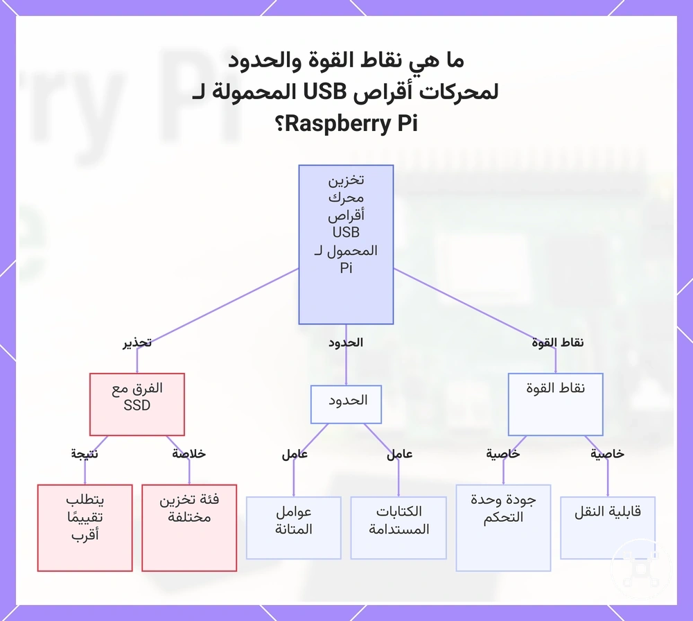 ما هي نقاط القوة والحدود لمحركات أقراص USB المحمولة لـ Raspberry Pi؟