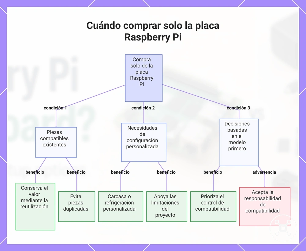 Cuándo comprar solo la placa Raspberry Pi
