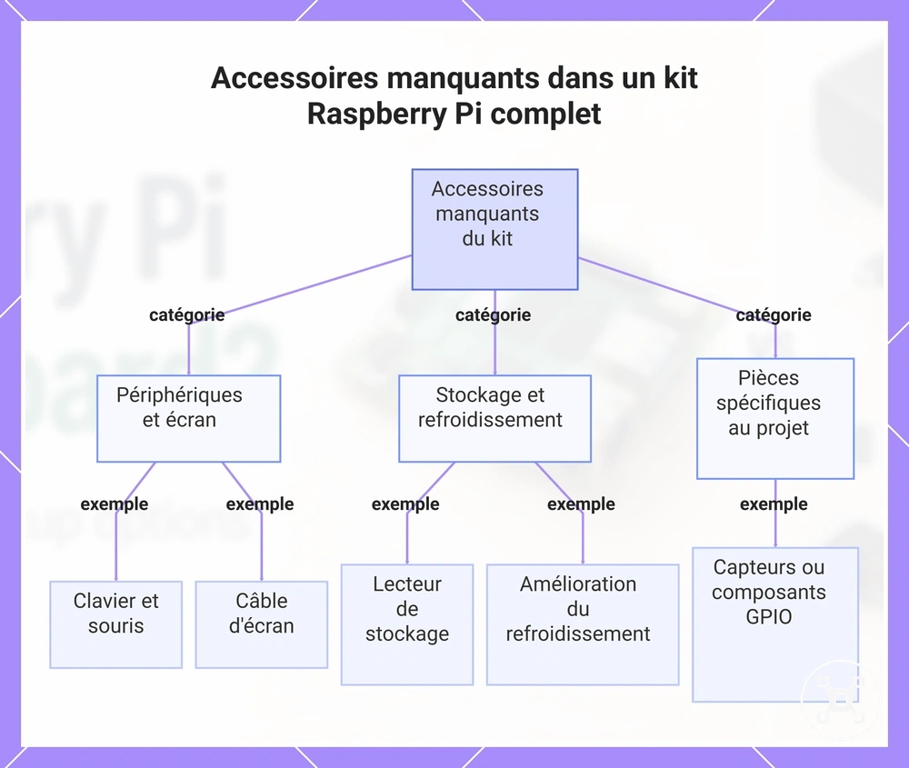 Accessoires manquants dans un kit Raspberry Pi complet