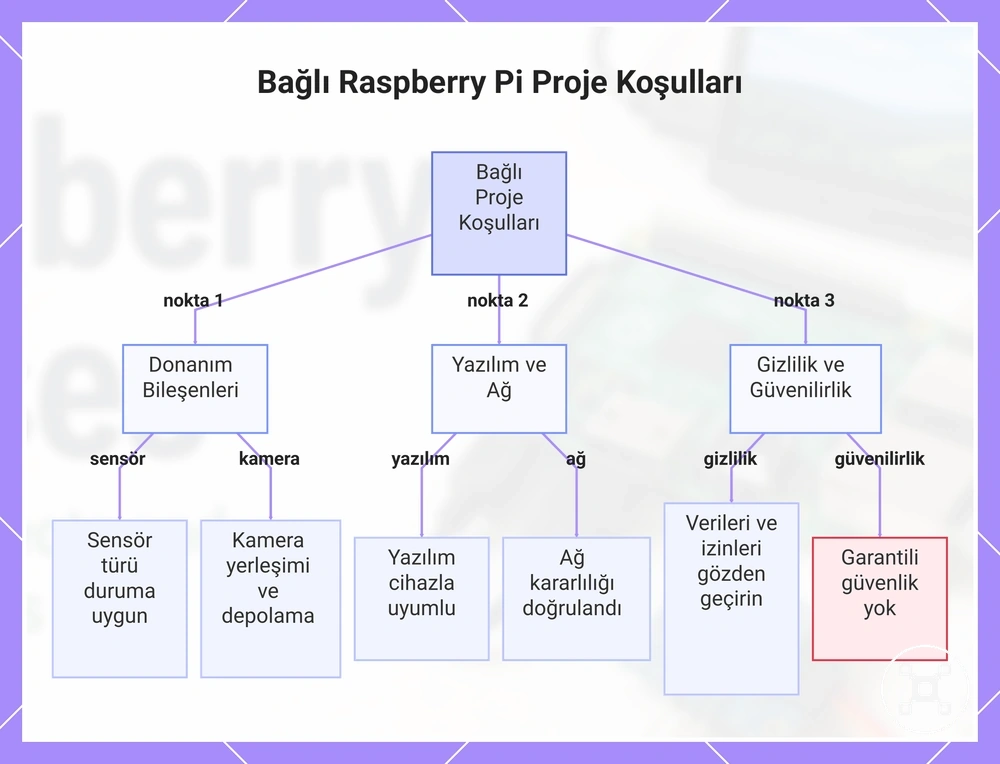 Bağlı Raspberry Pi Proje Koşulları
