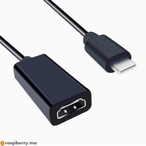 Adaptateur Samsung USB Type-C vers Micro USB prix Maroc