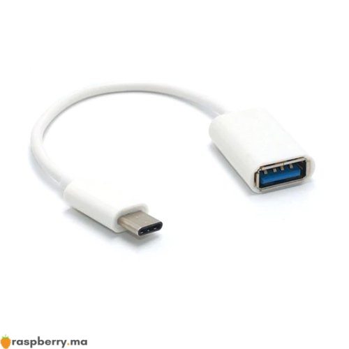 Adaptateur USB 3.1 Type C mâle vers USB 3.0 - Raspberry Pi Maroc